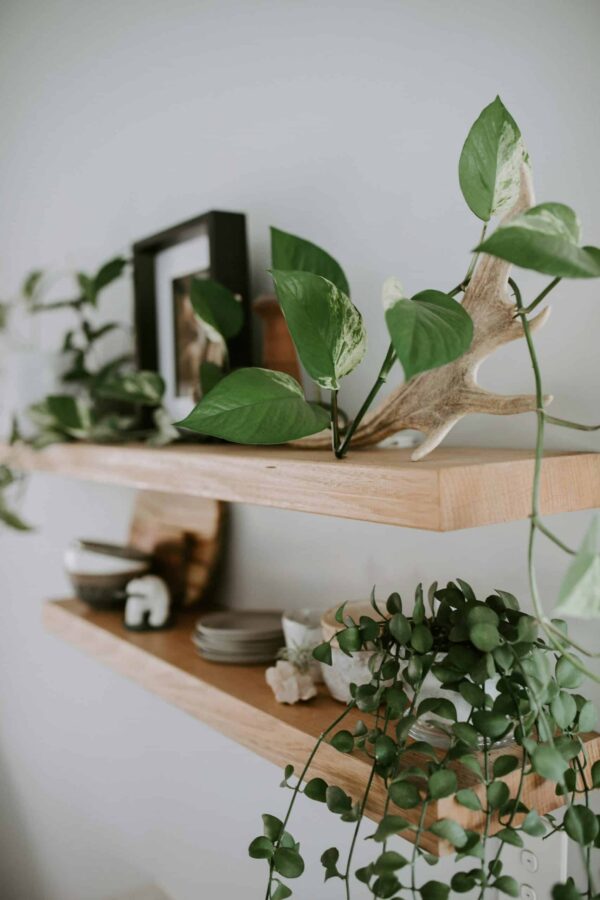 Solid oak floating shelves on a wall supplied by Top Shelf UK