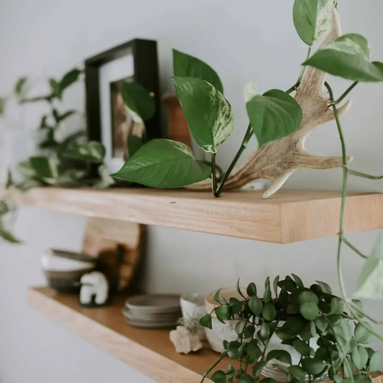 wall-shelves-for-living-rooms-uk Top SHelf